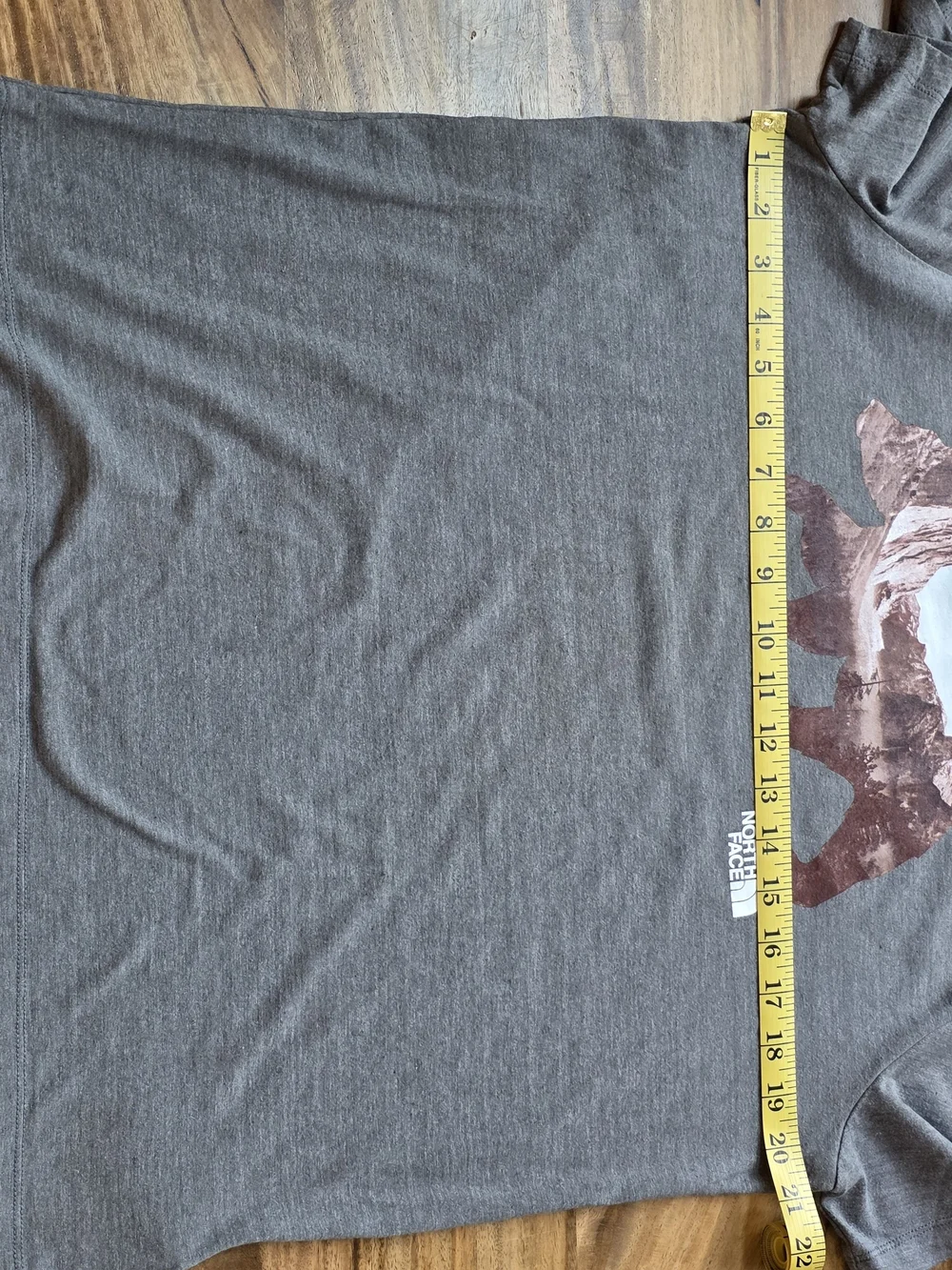 The North Face Evolution Bear Tee- Women's Size Large